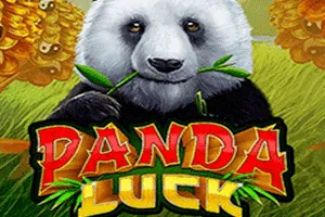 Playtech : Panda Luck - KISS69