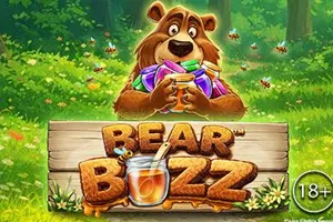 Playtech : Bear Buzz - KISS69