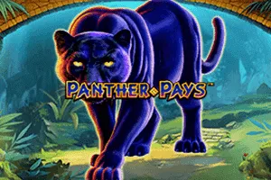 Playtech : Panther Pays - KISS69
